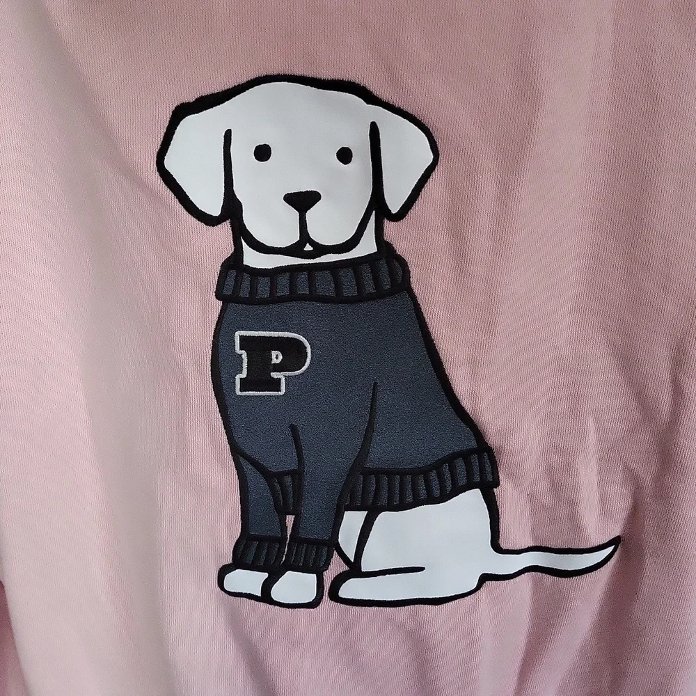 Victoria's Secret PINK Hoodie
